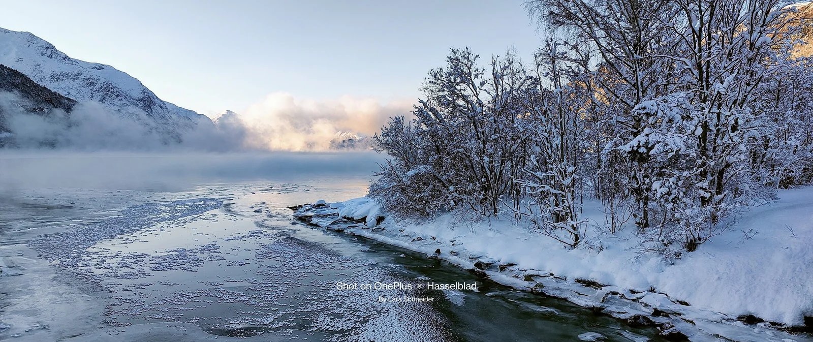 Frozen fjord and snow-covered trees at sunrise, shot on OnePlus by Lars Schneider