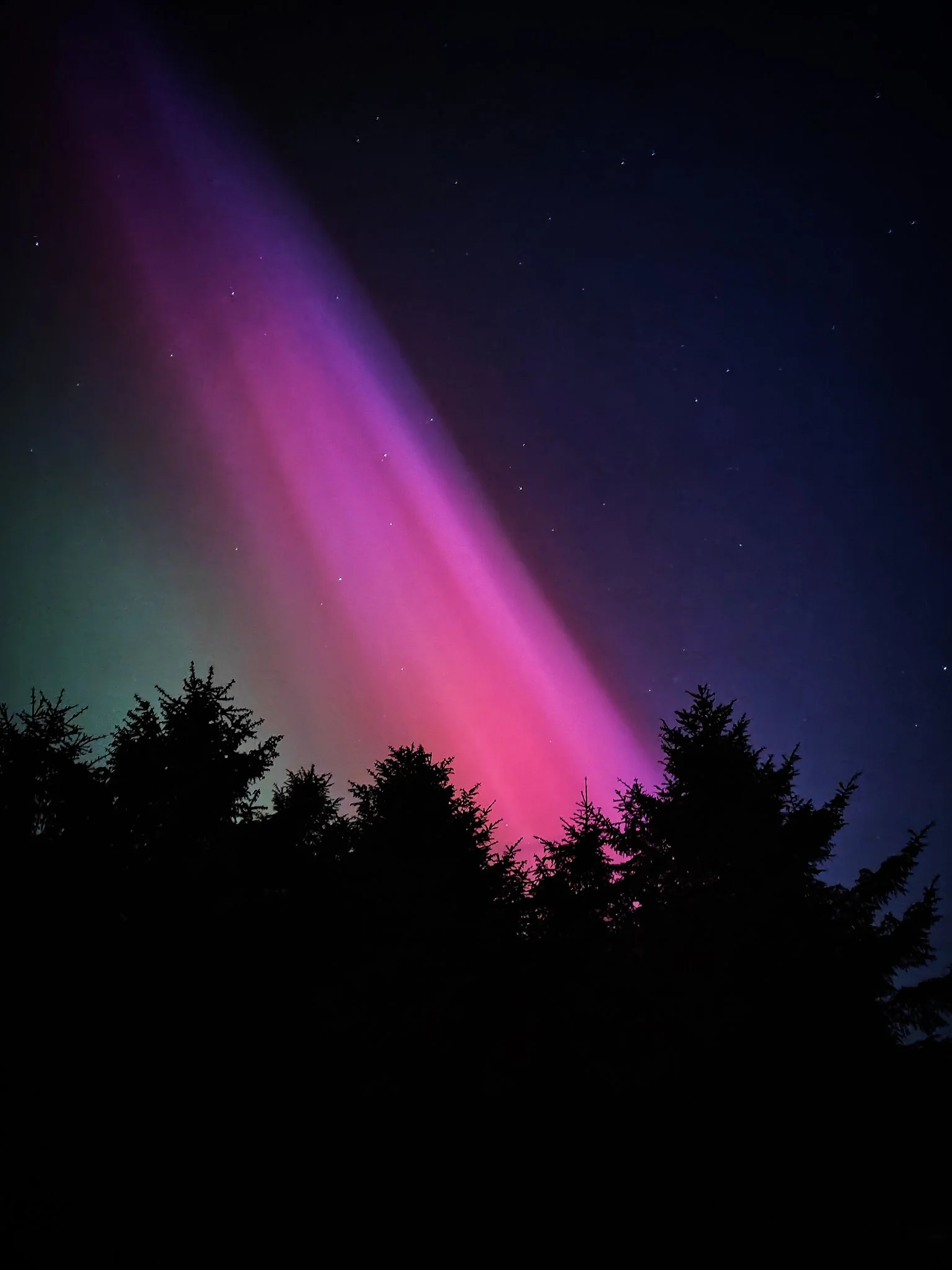 Pink and purple northern lights over a forest, shot on OnePlus